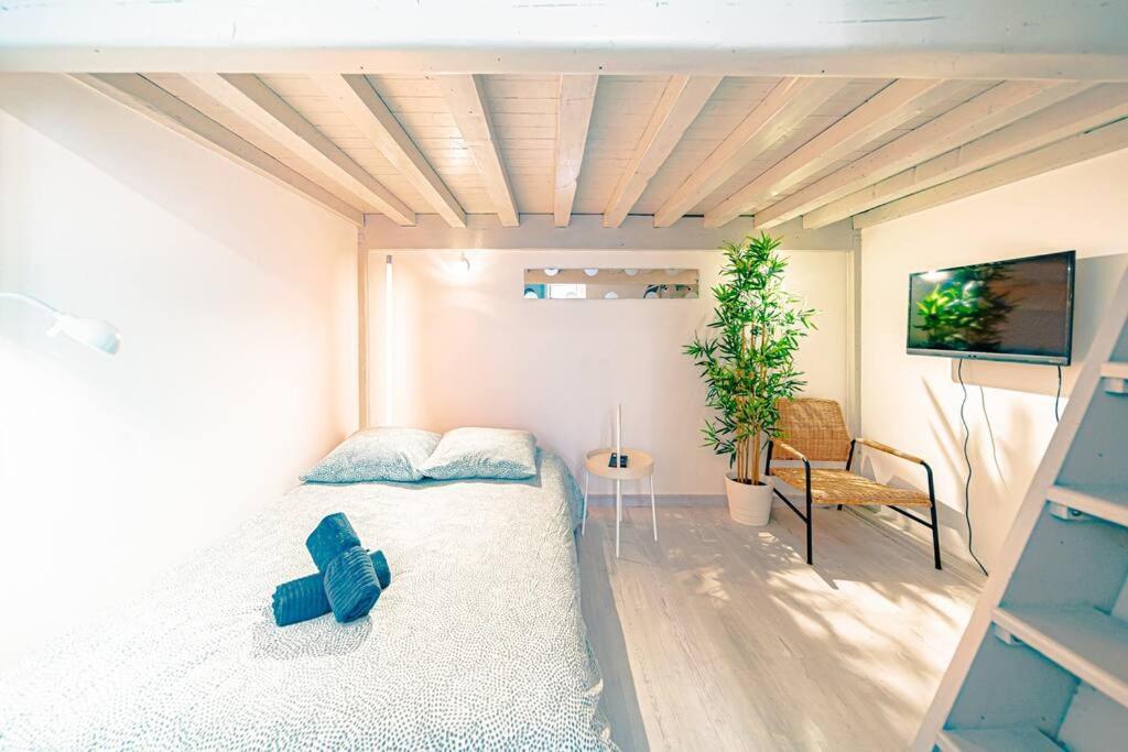 Apartment Quartier Duguesclin & Tete D'or - - Metro Foch *